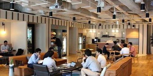 起源硅谷，深耕日本，这家机器人公司如何成功出海30国｜出海踏浪者