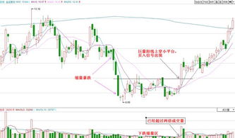 Meta股价大幅下挫图表