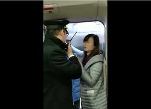 高铁拦门事件历史新闻报道截图