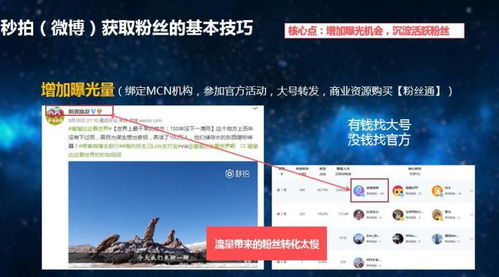 粉丝头条星幕翻卡页界面