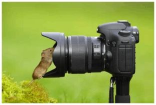 摄影师正在调试撕拉片相机的镜头