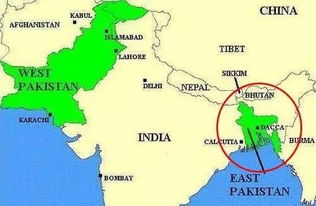 巴基斯坦街头民众谈论局势