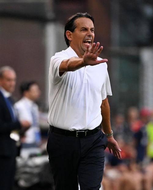 小因扎吉场边指挥