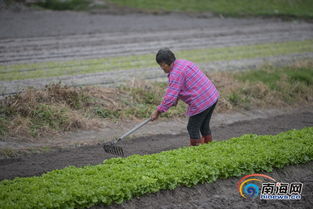 赵亮在田间地头与农户交流养殖经验