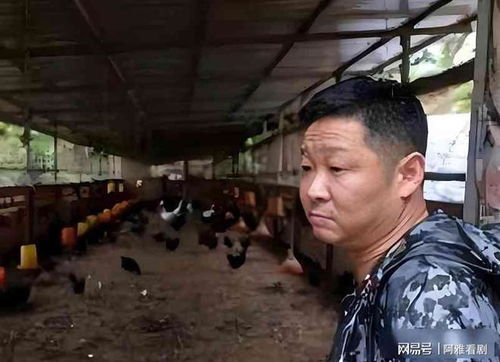 三德子赵亮卖土鸡，商标&ldquo;德子土&rdquo;引热议！明星跨界养殖为哪般？