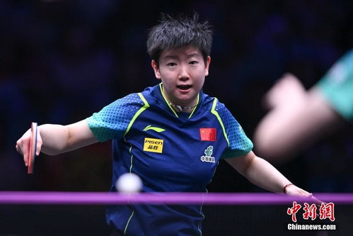 樊振东与孙颖莎在比赛中互动