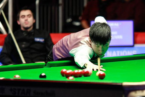 新华社专访赵心童：退役之后，我在抖音直播间继续‘比赛’