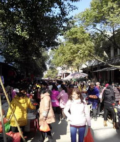 印度街头繁忙的集市