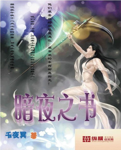 书籍封面：没有凶手的暗夜