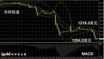 黄金为何抹去一周跌幅？我亲历的市场震荡与投资启示