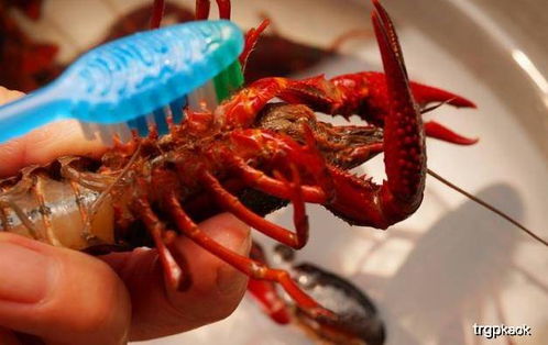 麻辣小龙虾成品诱人特写