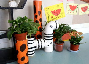 阳光洒在窗台上的绿植