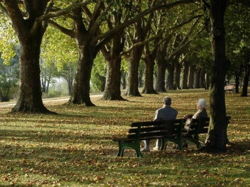 我眼中的婚姻：爱、金钱与自由的平衡艺术