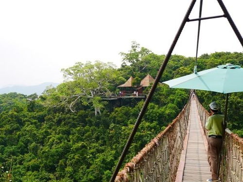 一个人站在山顶俯瞰远方