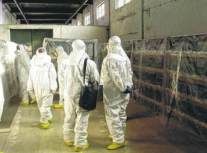 国际社会对美国核部署的反应图表