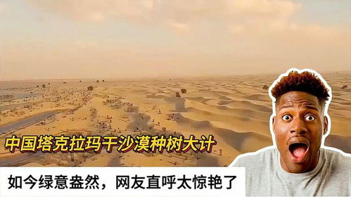 异瞳治沙少年被曝摆拍作秀？王金回应：我只是想做点事