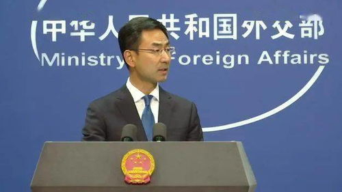 耿爽在记者会上发言