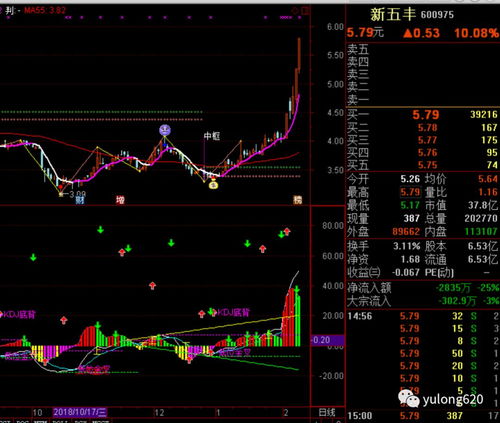 斯凯奇股票走势图片段