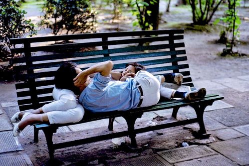 两个人在公园长椅上交谈的背影