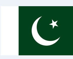 巴基斯坦国旗与联合国标志合影