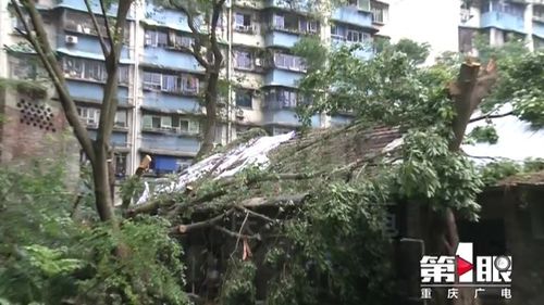 湖南岳阳村民讲述楼遇大风倒塌：我胆大也吓得发抖 3人躲墙角逃过一劫