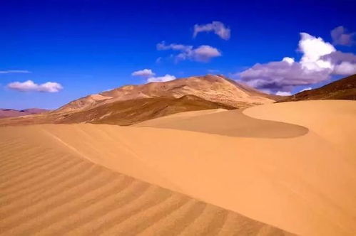 王金在沙漠中行走的背影