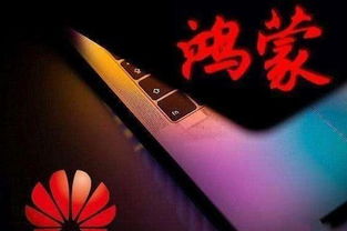 鸿蒙电脑与Windows系统对比界面示意图