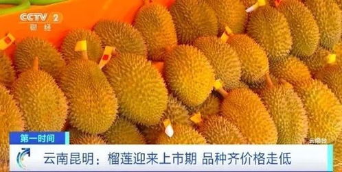 榴莲批发市场人流图