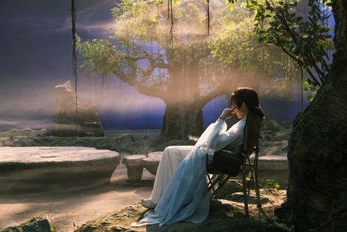 从成毅到陈好，大男主剧海报背后的流量密码