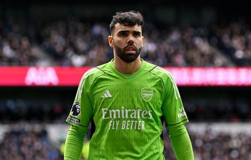 阿森纳门将拉亚扑救瞬间