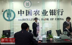 市民在银行办理业务