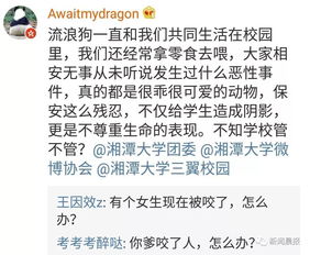 大学校园内的学生群体