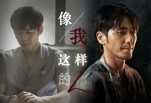 《轮廓中的真相》开播！抖音爆火，这部悬疑剧到底有多上头？