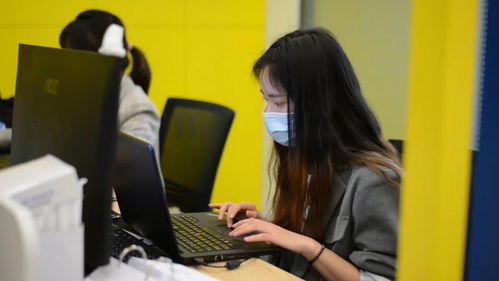 办公室同事认真工作