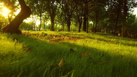 与你相处的时光｜那些藏在生活里的温柔瞬间