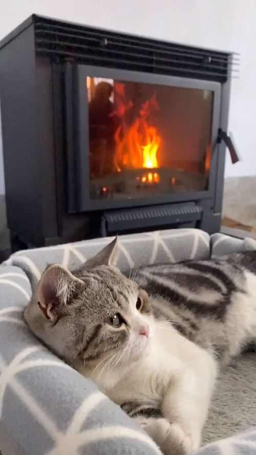 心里的一团火🔥：我与自己漫长的对话