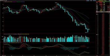 油价或将重回6元时代？车主们的好消息来了！