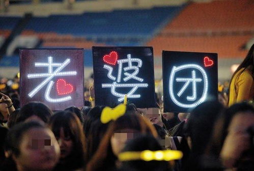 粉丝手持应援牌合影的场景