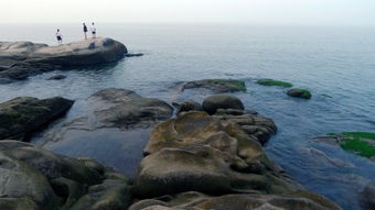 椰岛晓露写给从容小主的第三封信：在喧嚣中寻找内心的柔软