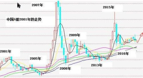 投资者分析股市图表