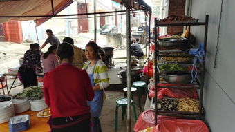 关中农村传统婚礼现场<p>就像那家‘关中席面’一样，书中描写的每一顿饭、每一次聚会，都让人感受到一种深深的归属感。那种用粗瓷碗盛着的酸辣粉，那种用浓重口音说着的乡话，都是这片土地独有的语言和味道。</p><h2 id=