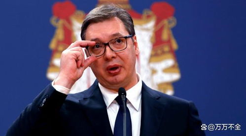 武契奇与普京握手的照片