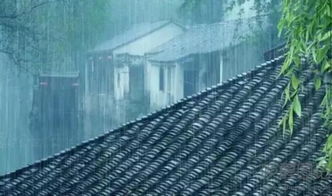 黄梅时节家家雨，我在江南听一场潮湿的回忆