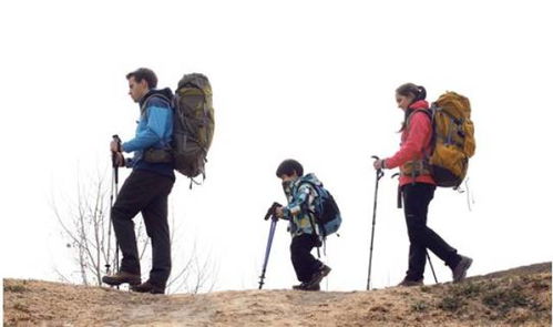 家长带孩子登山需注意安全