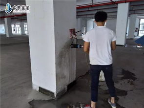 校园周边安全再升级！武安市“扫黄打非·护苗”专项检查进行中，家长放心了吗？