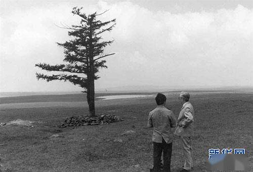 异瞳少年站在沙漠中植树