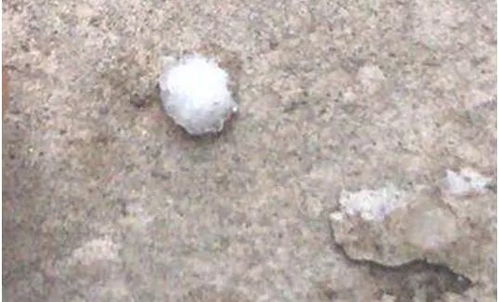 冰雹与霰的区别示意图