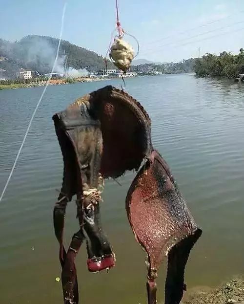 钓鱼意外钓起潜水员场面尴尬