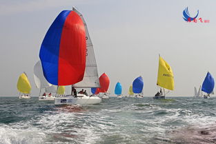 海上帆船比赛场景