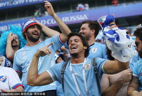 球迷欢呼庆祝胜利